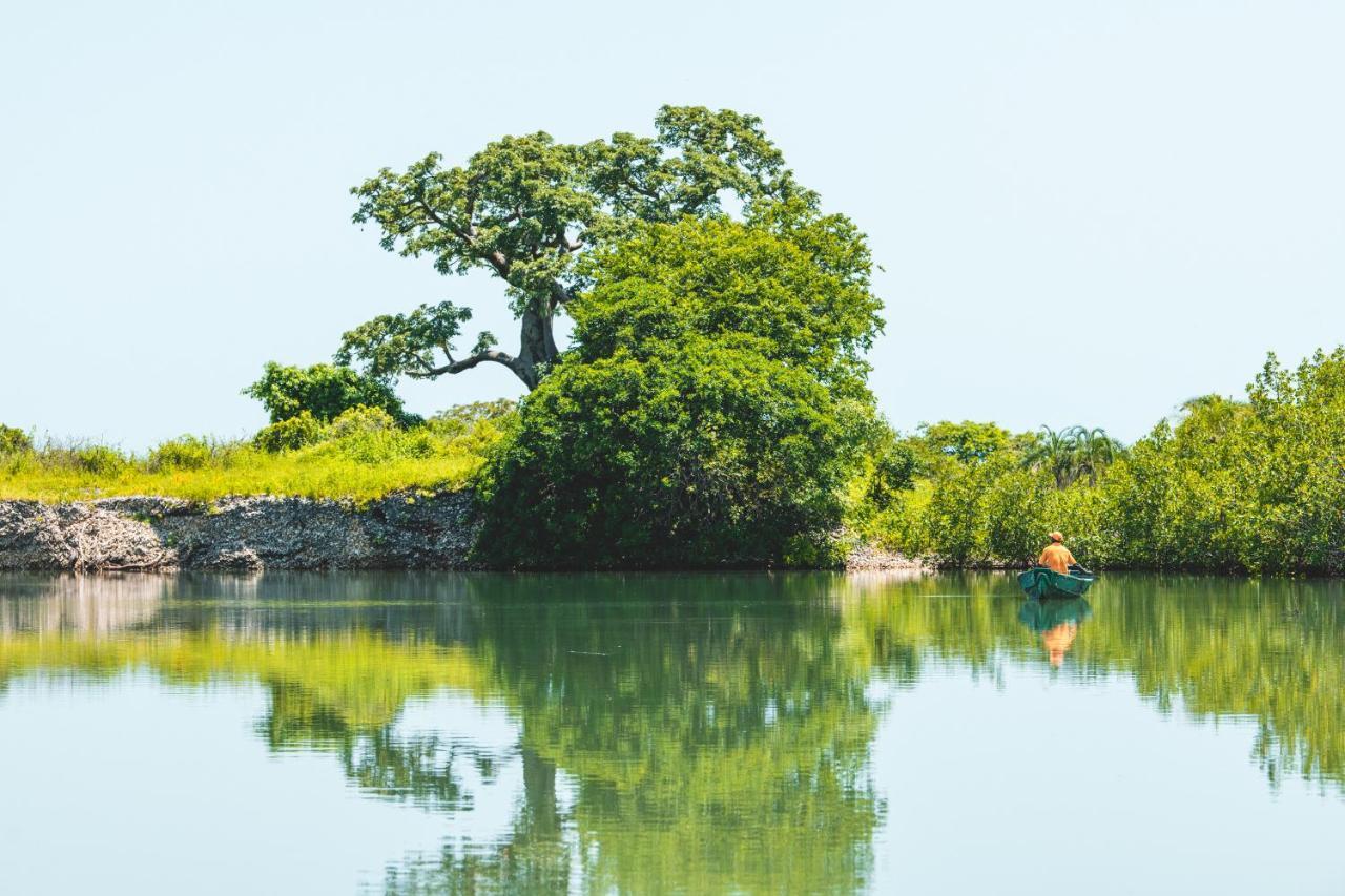 Tamba Kuruba Eco-Lodge Folonko Zewnętrze zdjęcie
